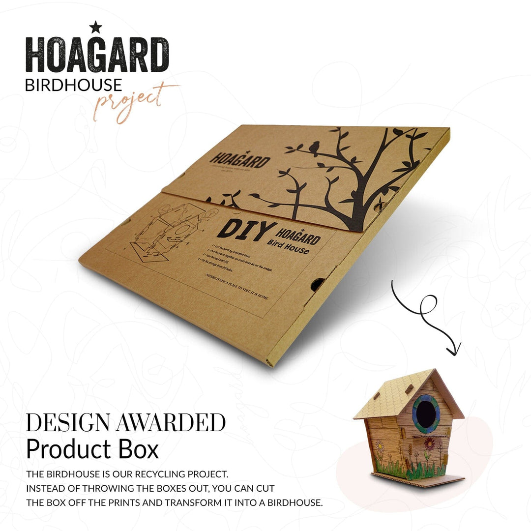 Island Boy - decor, | Hoagard.co